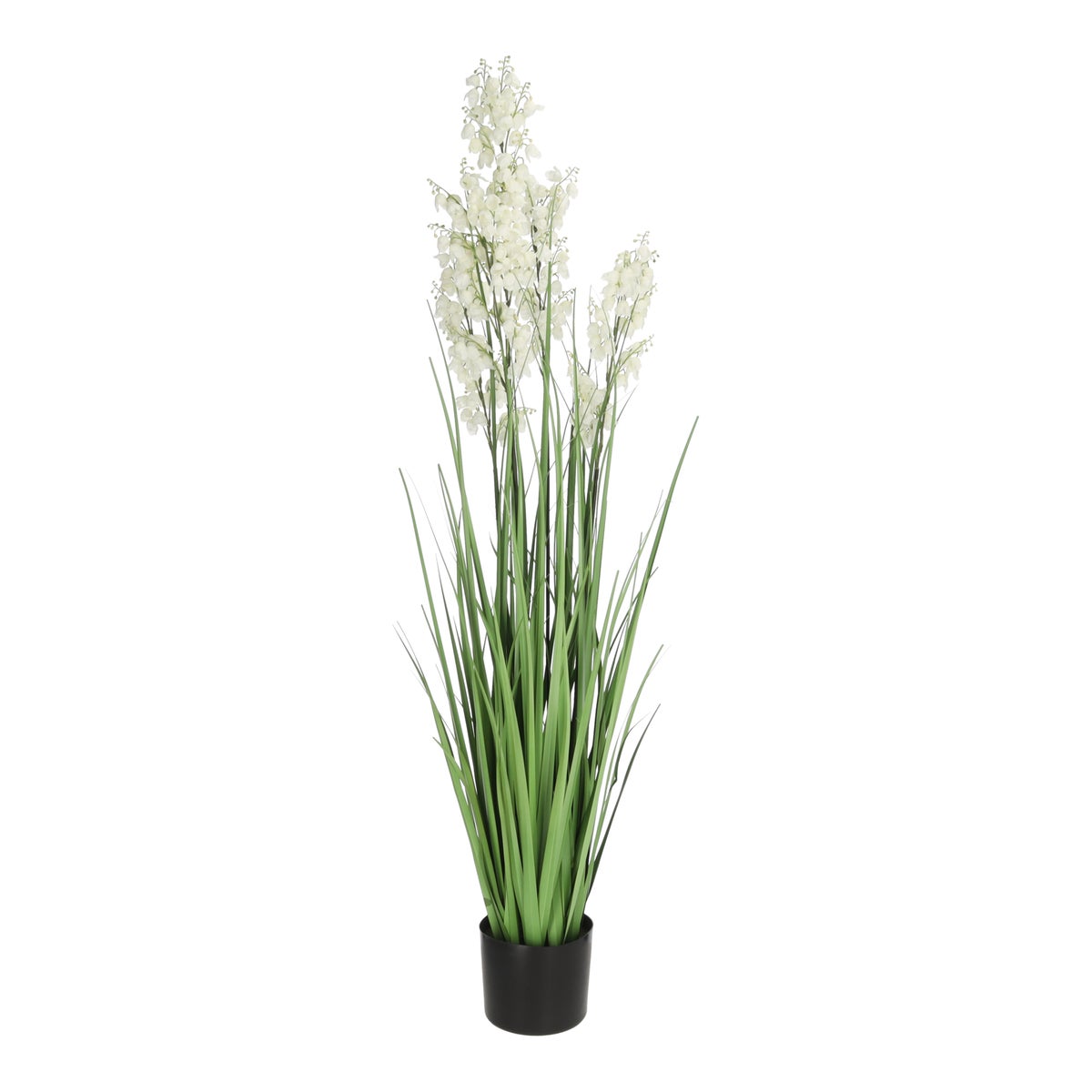Pot gras Campanula wit 120 cm Pot gras Campanula wit 120 cm