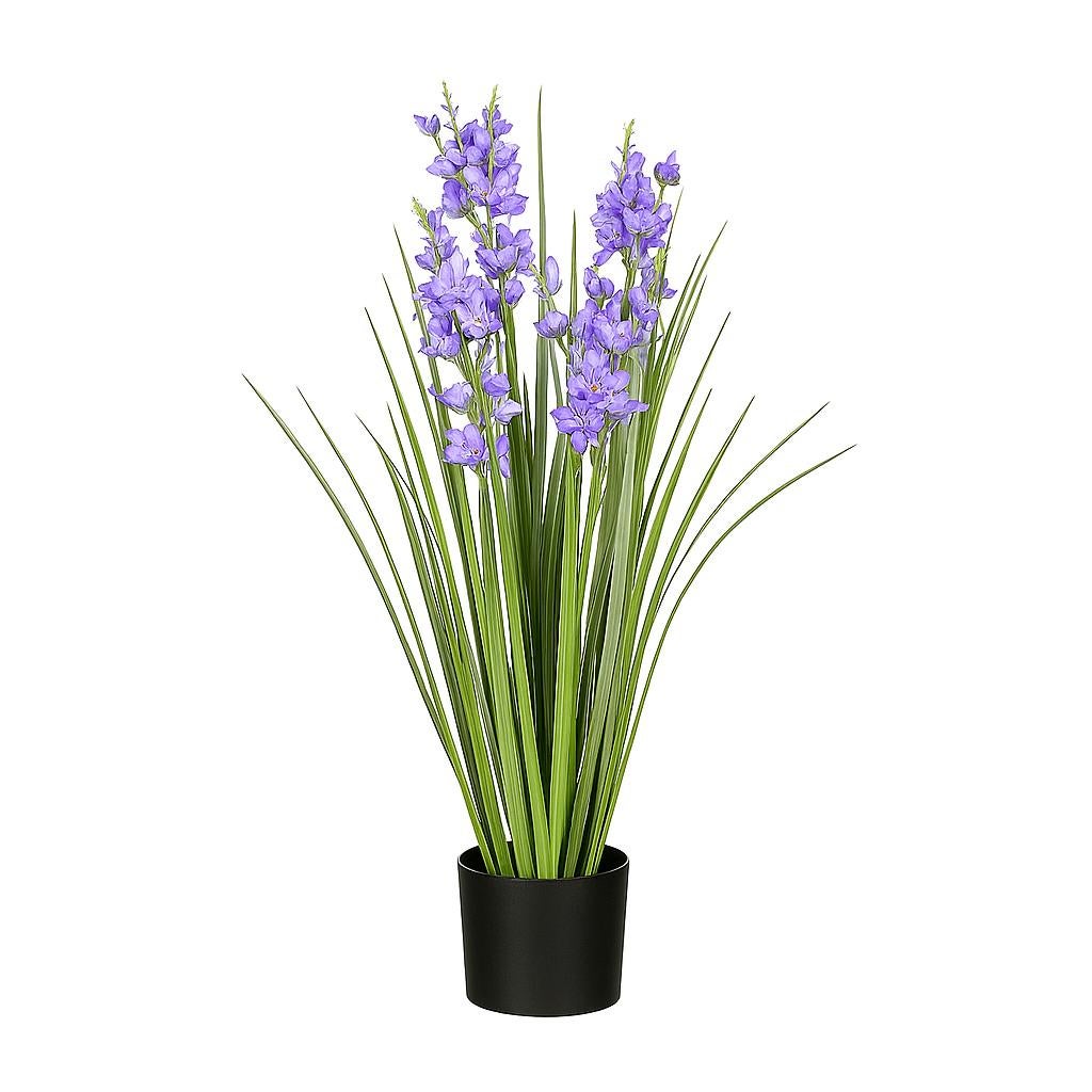 Pot gras Campanula paars 78 cm Pot gras Campanula paars 78 cm