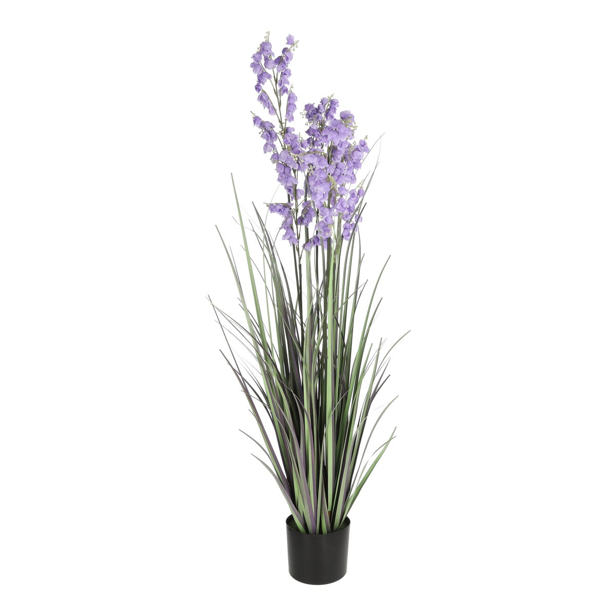 Pot gras Campanula paars 120 cm Pot gras Campanula paars 120 cm