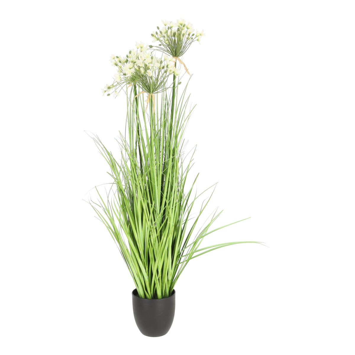 Pot allium wit 110 cm Pot allium wit 110 cm
