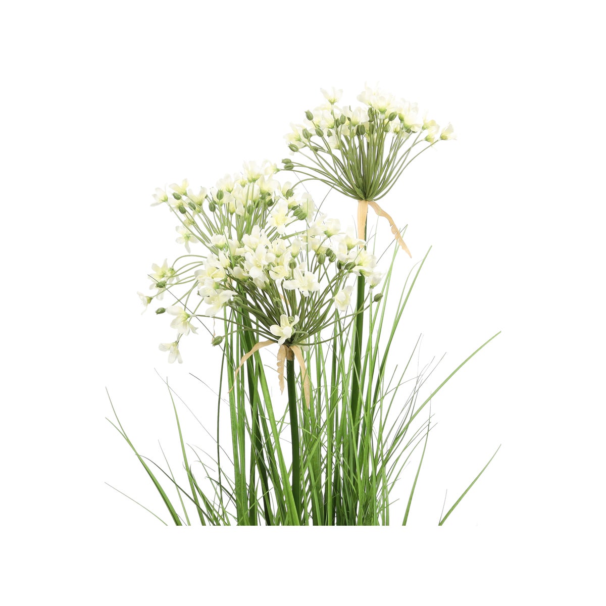 Pot allium wit 110 cm Pot allium wit 110 cm