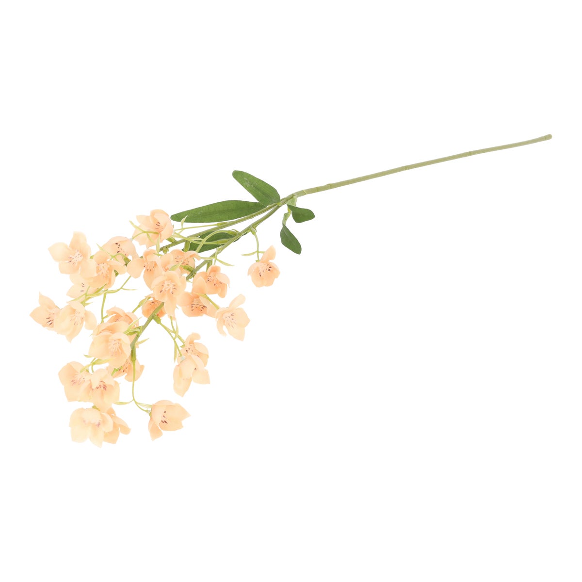 Tak lelietje van dalen perzik 95 cm Tak lelietje van dalen perzik 95 cm