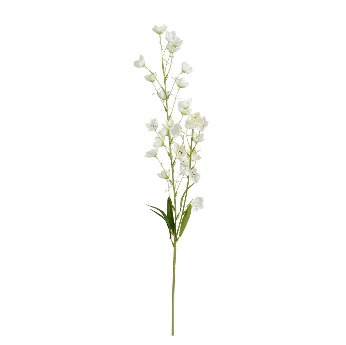 Lelietje van dalen creme 95 cm Lelietje van dalen creme 95 cm
