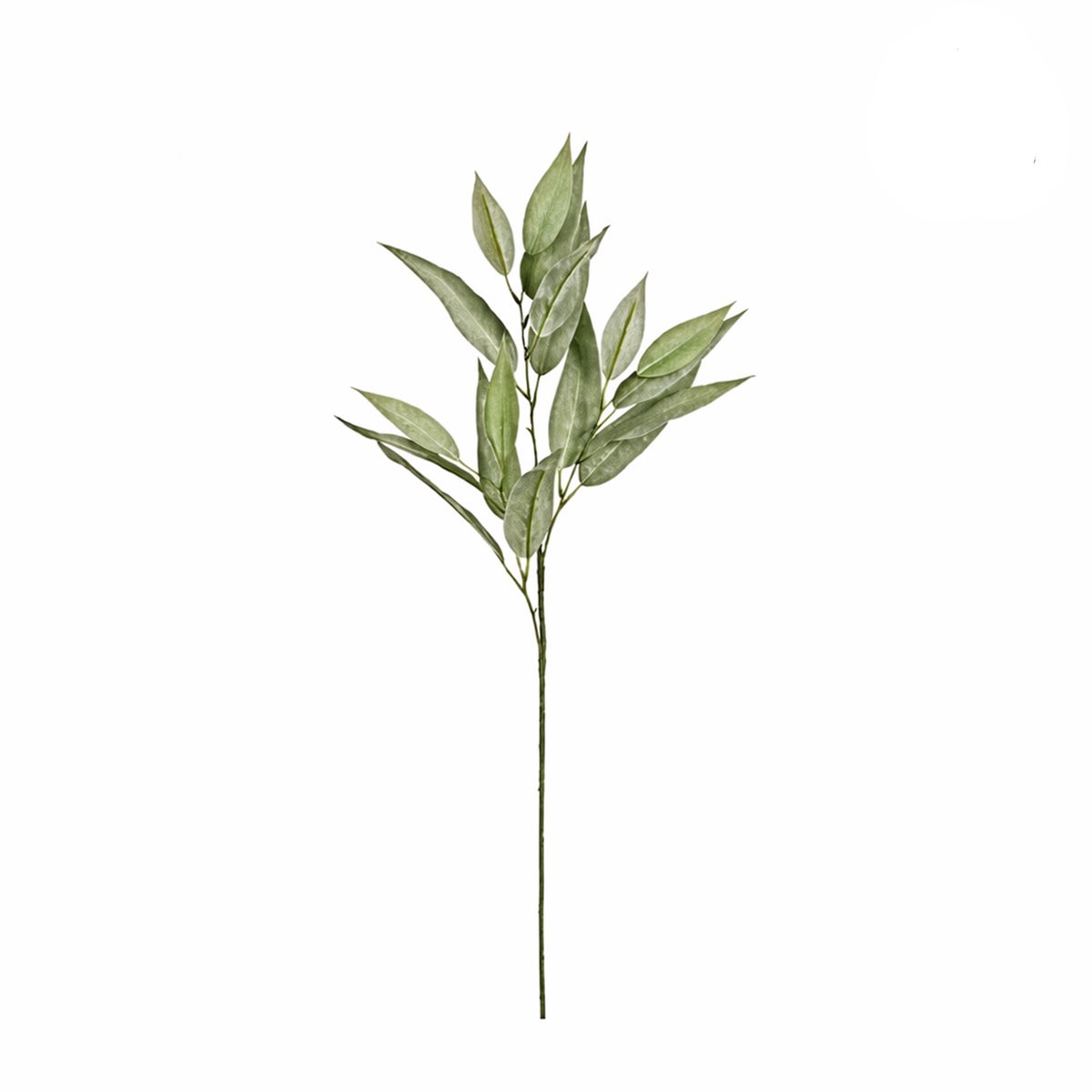 Tak eucalyptus groen 78 cm Tak eucalyptus groen 78 cm