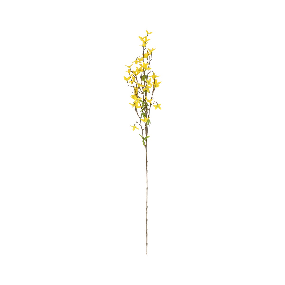 Tak forsythia geel 84 cm Tak forsythia geel 84 cm
