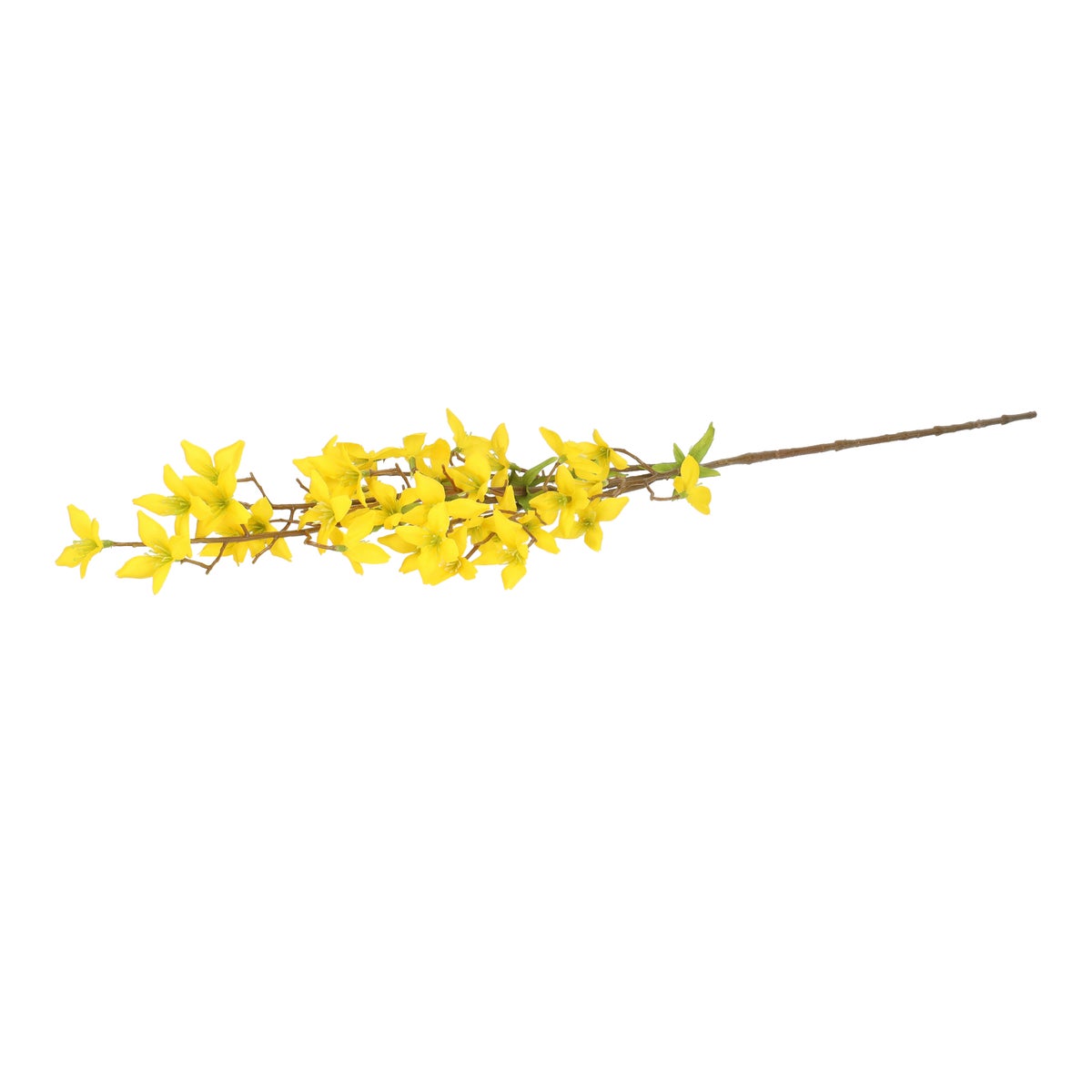 Tak forsythia geel 84 cm Tak forsythia geel 84 cm