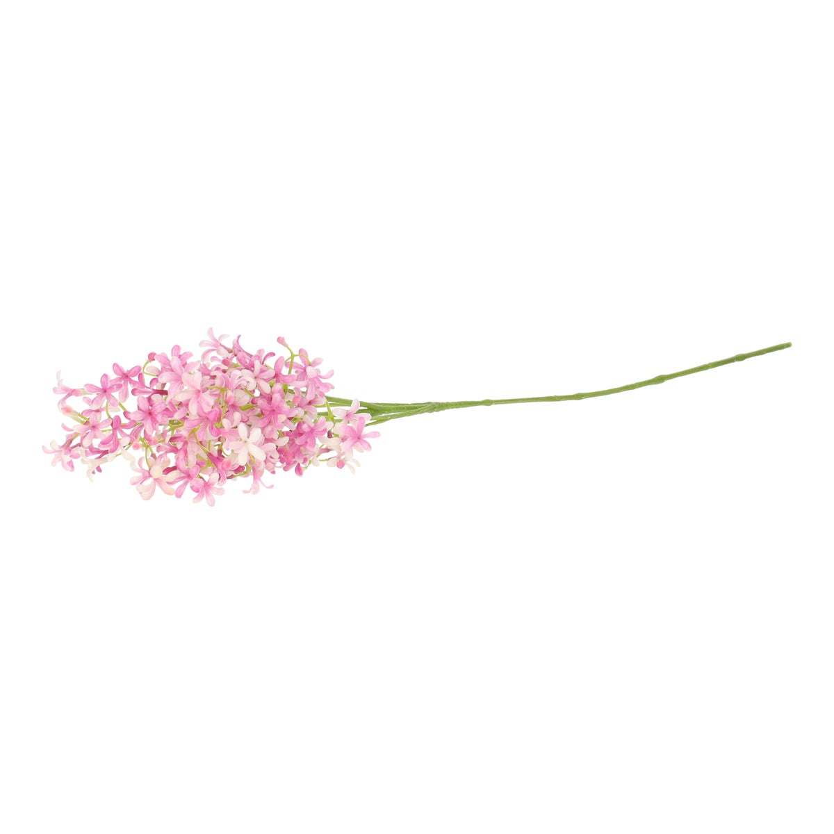 Tak saxifrage roze 65 cm Tak saxifrage roze 65 cm