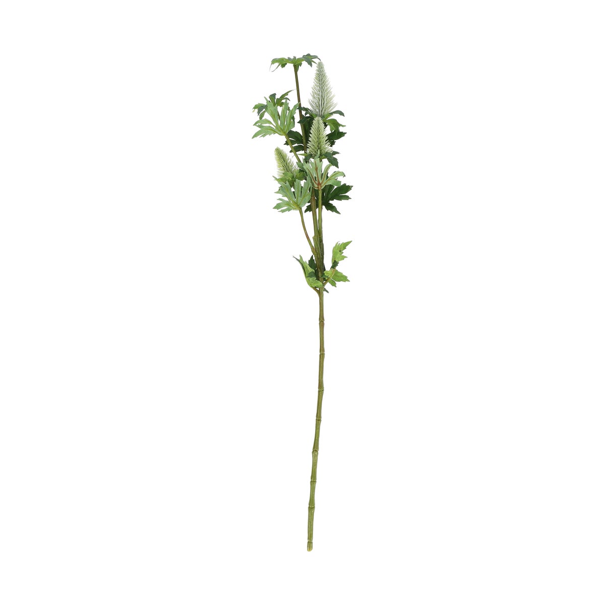 Tak Distel groen 73 cm Tak Distel groen 73 cm