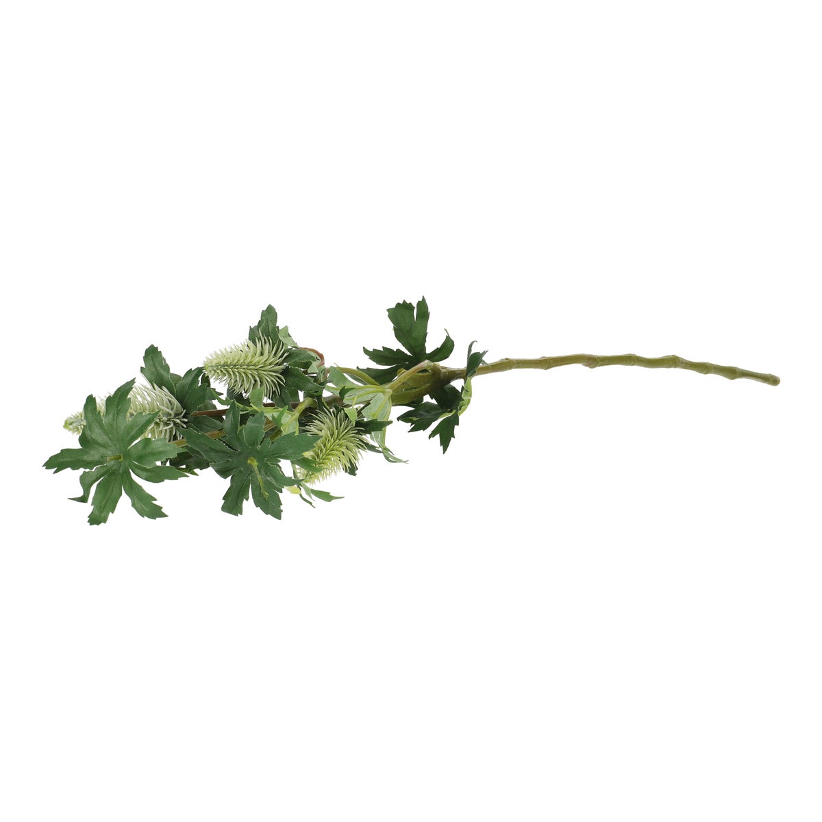 Tak Distel groen 73 cm Tak Distel groen 73 cm