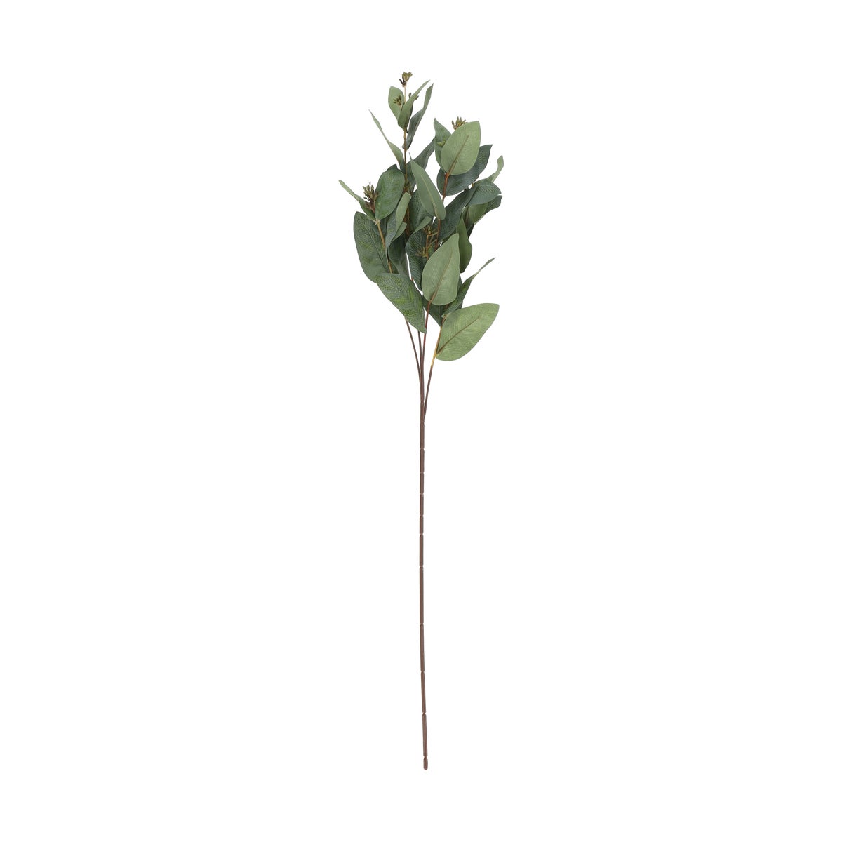 Tak eucalyptus groen 82 cm Tak eucalyptus groen 82 cm