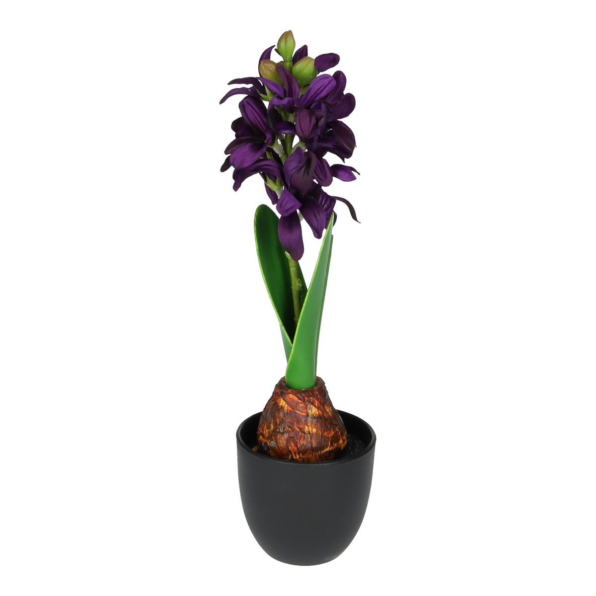 Hyacinth in pot paars 28 cm Hyacinth in pot paars 28 cm