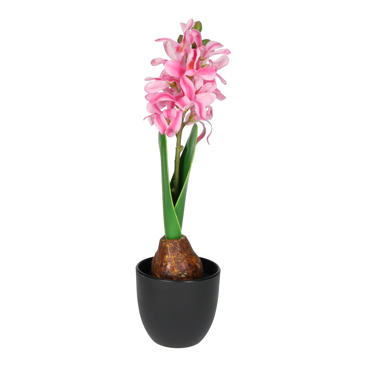 Hyacinth in pot roze 28 cm Hyacinth in pot roze 28 cm