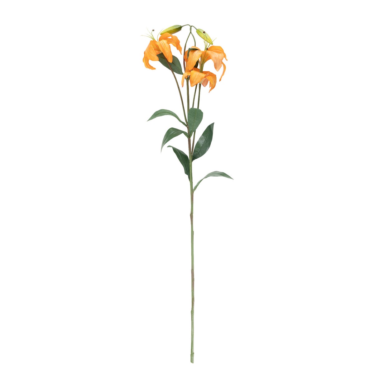 Tak tijgerlelie oranje 117 cm Tak tijgerlelie oranje 117 cm