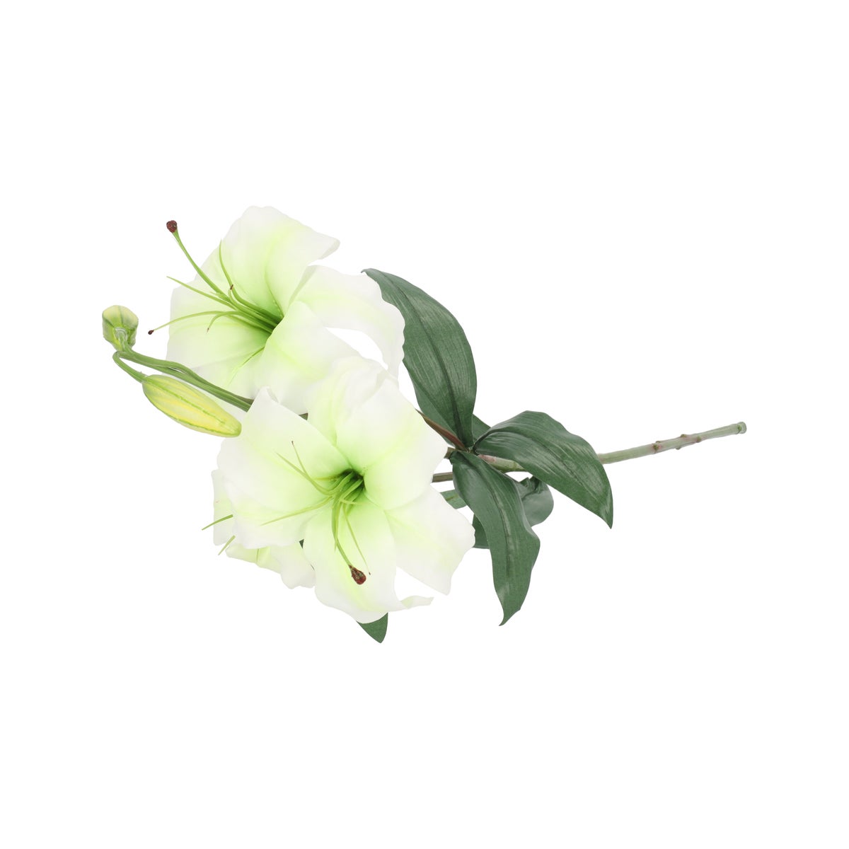 Tak tijgerlelie creme 117 cm Tak tijgerlelie creme 117 cm