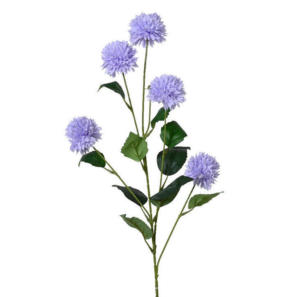 Korenbloem lila 82cm Korenbloem lila 82cm