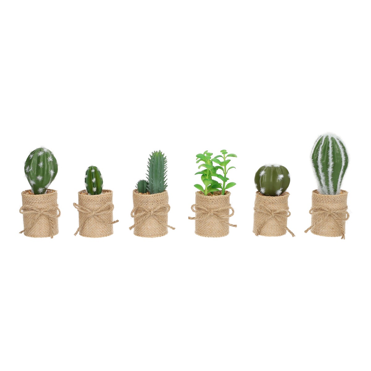 Cactus in potje met jute Cactus in potje met jute