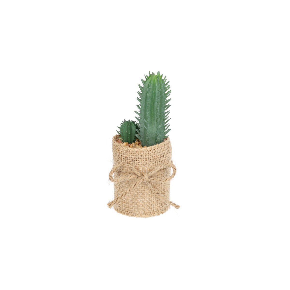 Cactus in potje met jute Cactus in potje met jute