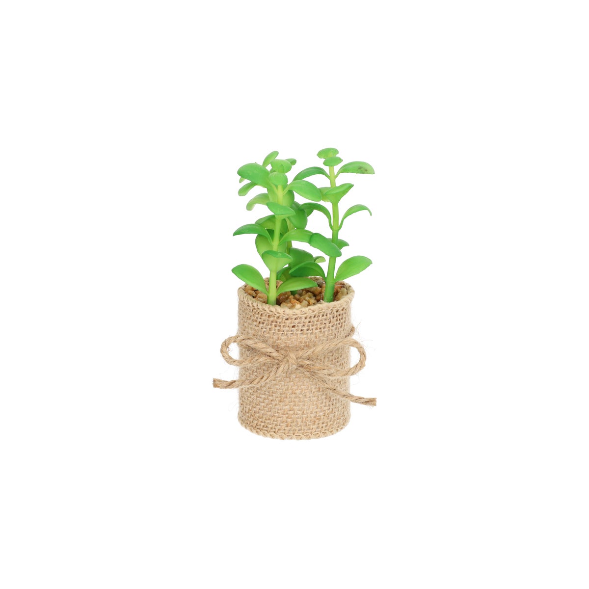 Cactus in potje met jute Cactus in potje met jute