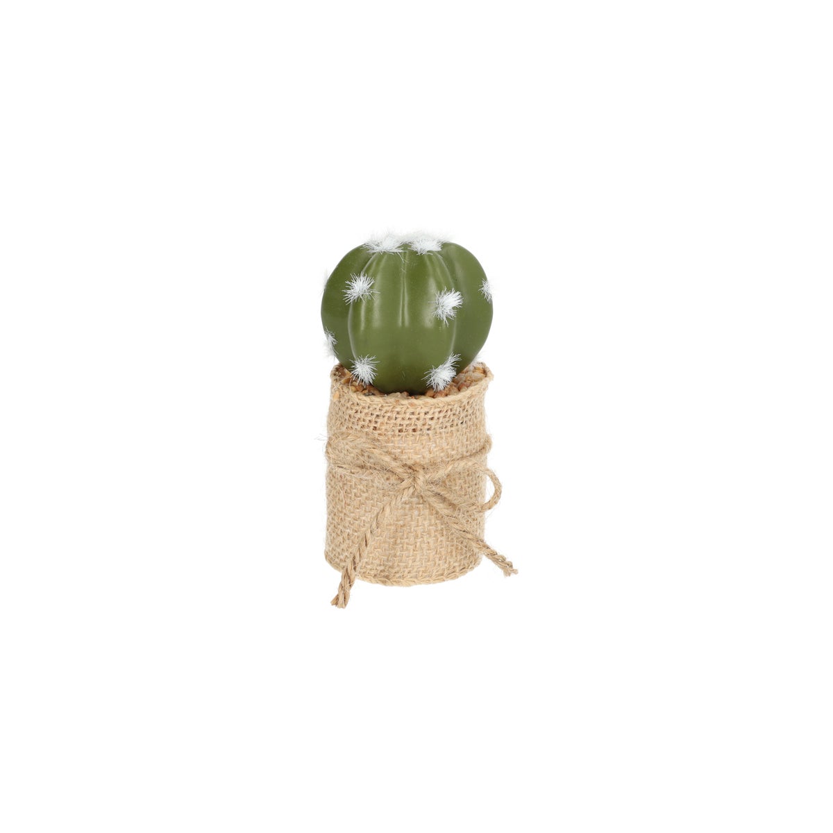 Cactus in potje met jute Cactus in potje met jute