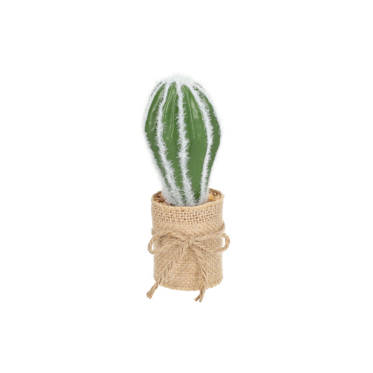Cactus in potje met jute Cactus in potje met jute