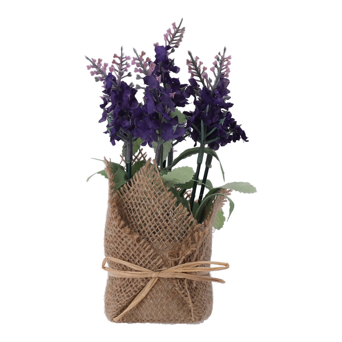 Lavendel in jute pot, 3 assorti Lavendel in jute pot, 3 assorti