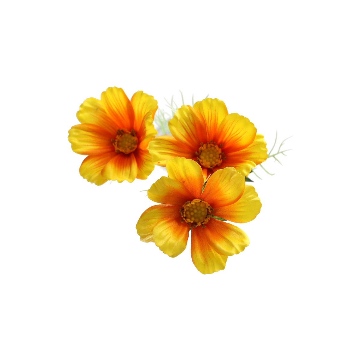 Calliopsis geel 64cm Calliopsis geel 64cm