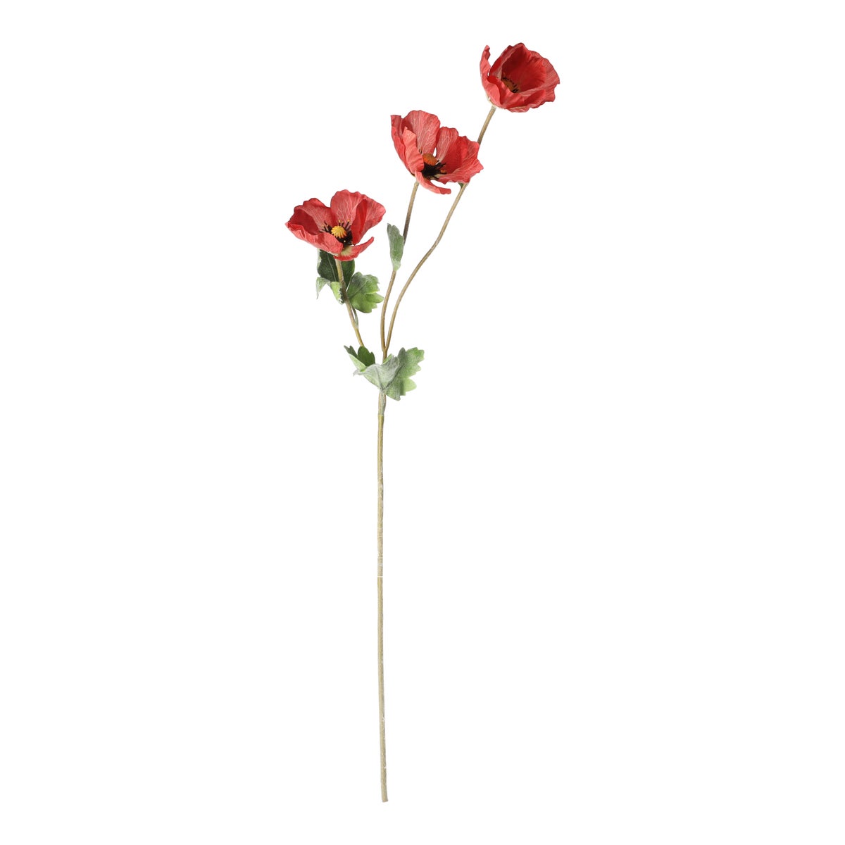 Klaproos rood 71 cm Klaproos rood 71 cm