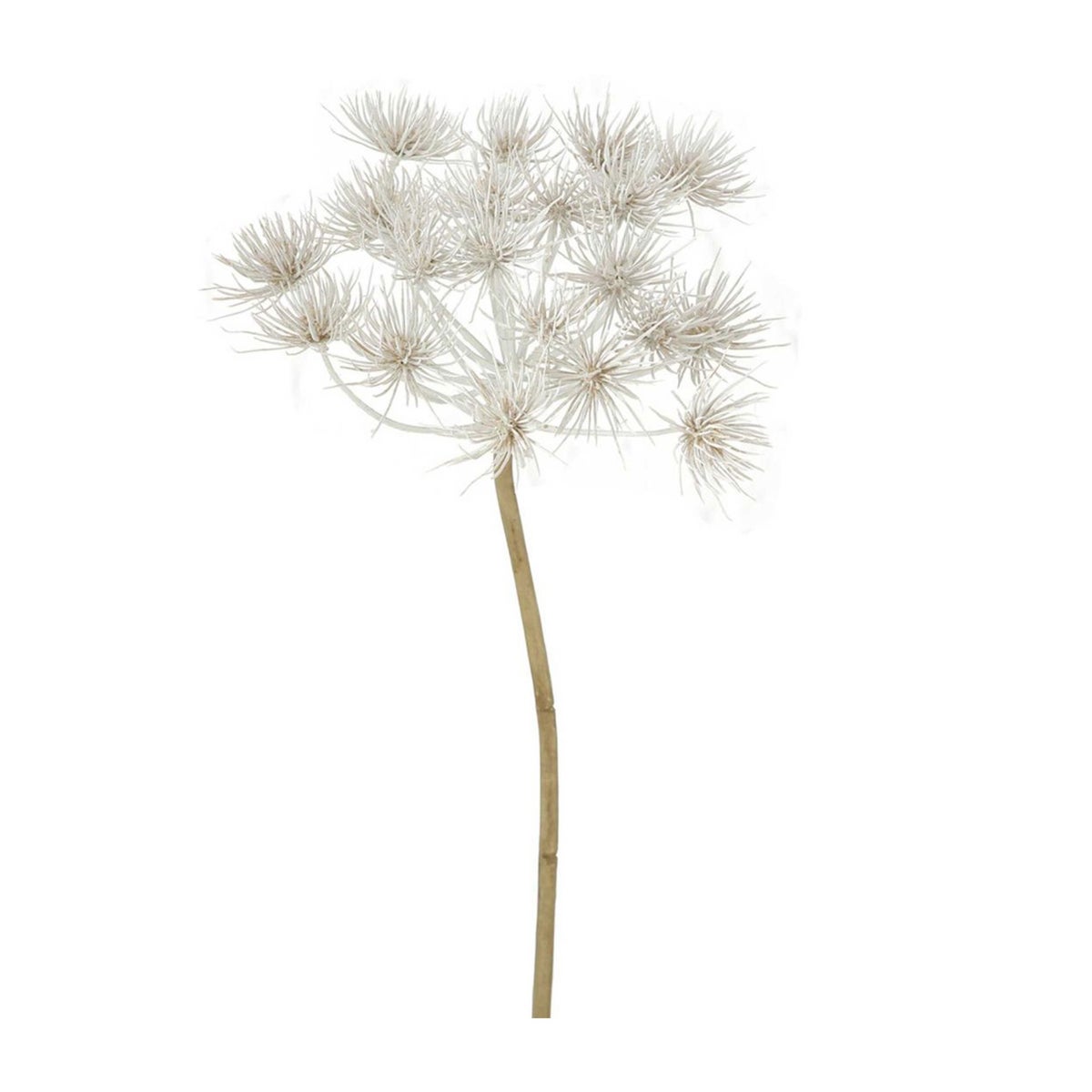 Tak Hogweed creme 76 cm Tak Hogweed creme 76 cm
