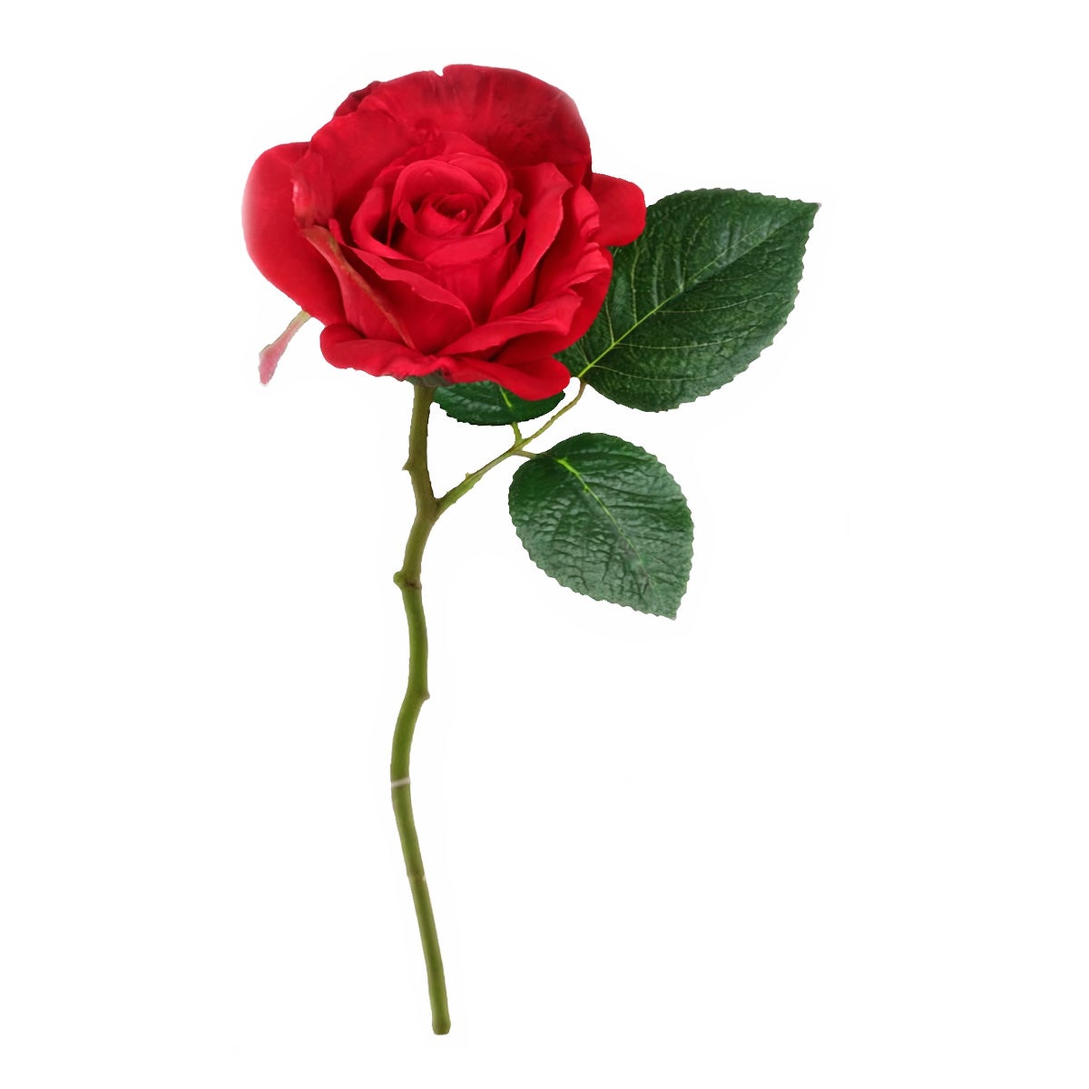Roos Emy rood 31 cm Roos Emy rood 31 cm