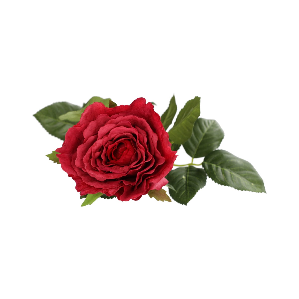 Roos op steel rood 71 cm Roos op steel rood 71 cm