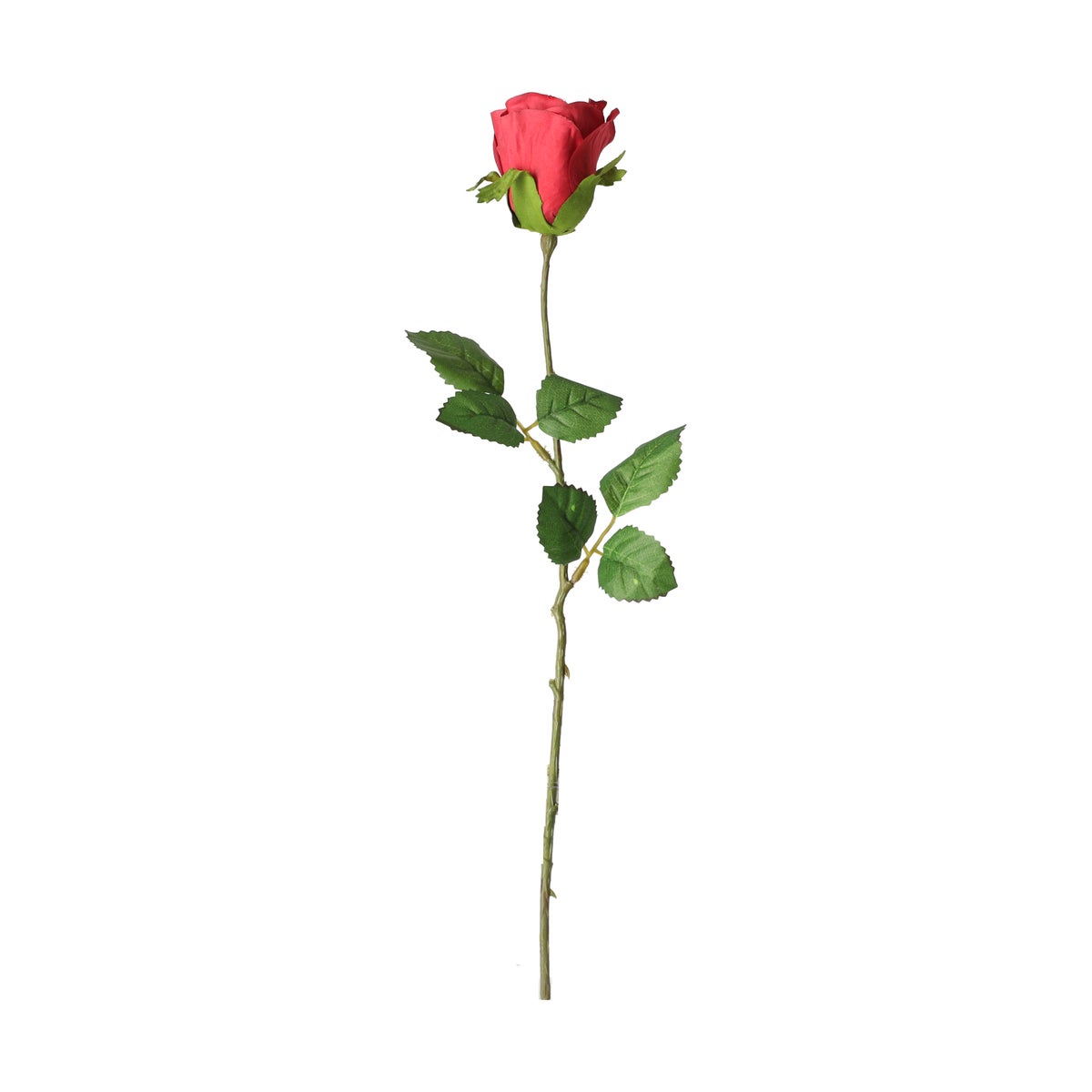 Roos 45cm rood Roos 45cm rood