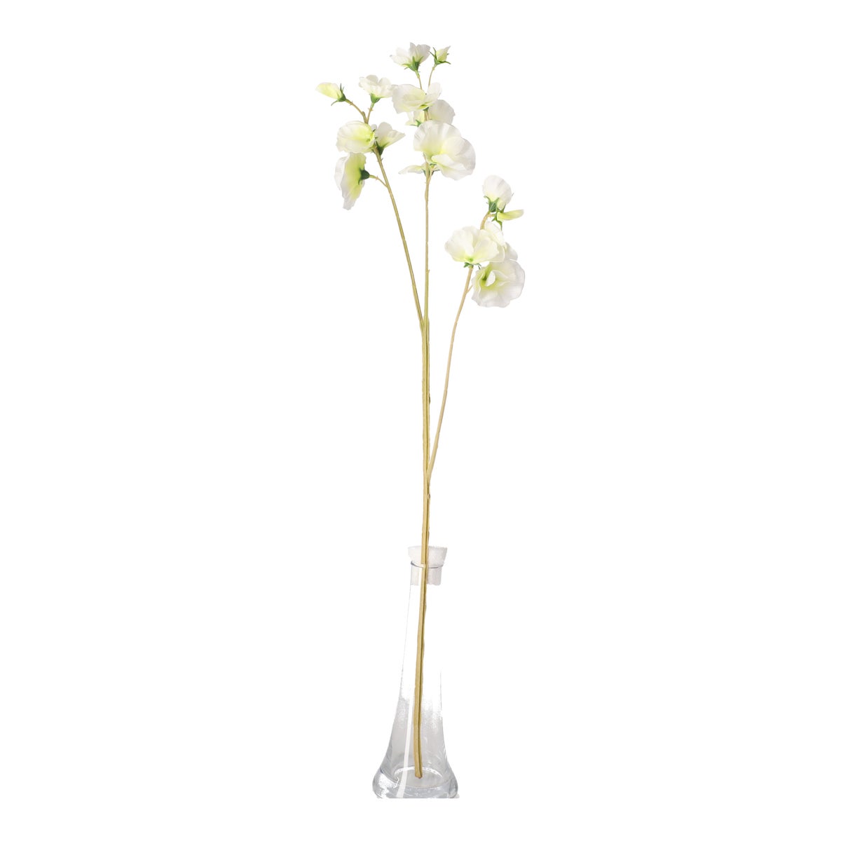 Lathyrus op steel wit 60 cm Lathyrus op steel wit 60 cm