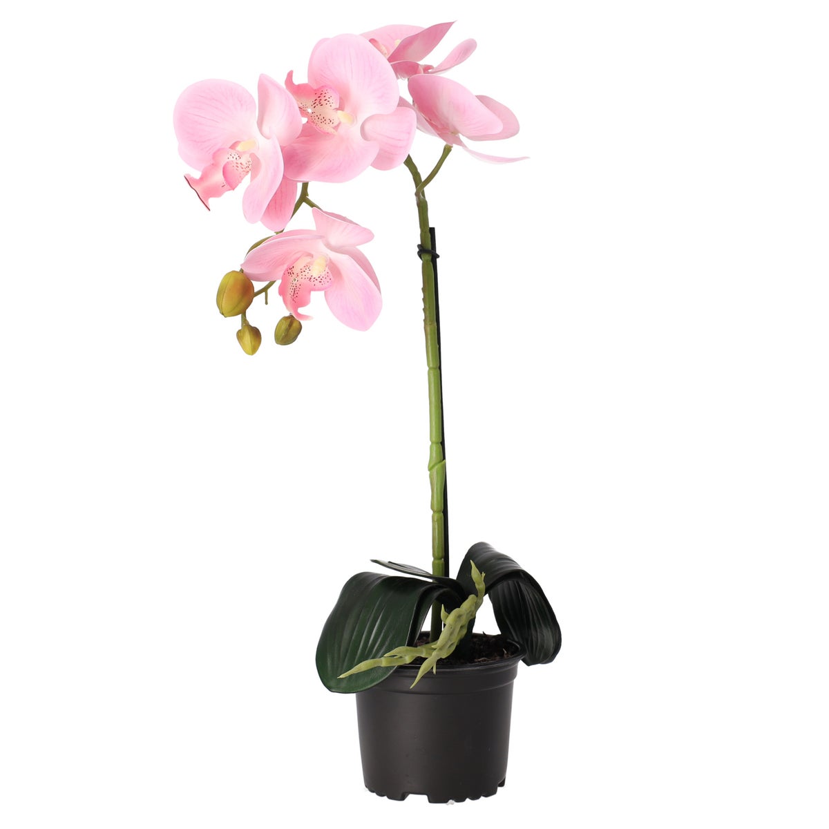 Orchidee 38 cm roze Orchidee 38 cm roze