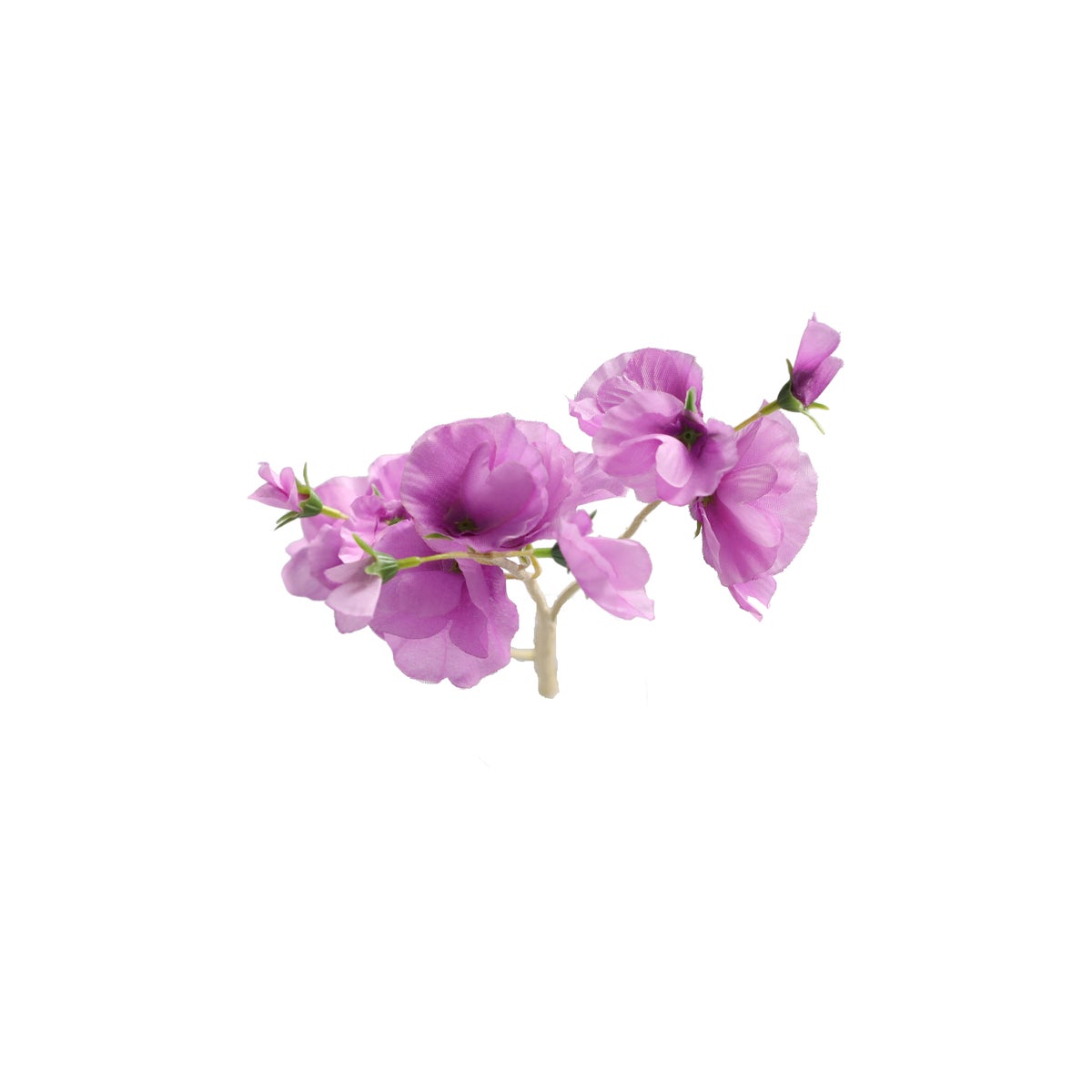 Lathyrus op steel paars 60 cm Lathyrus op steel paars 60 cm