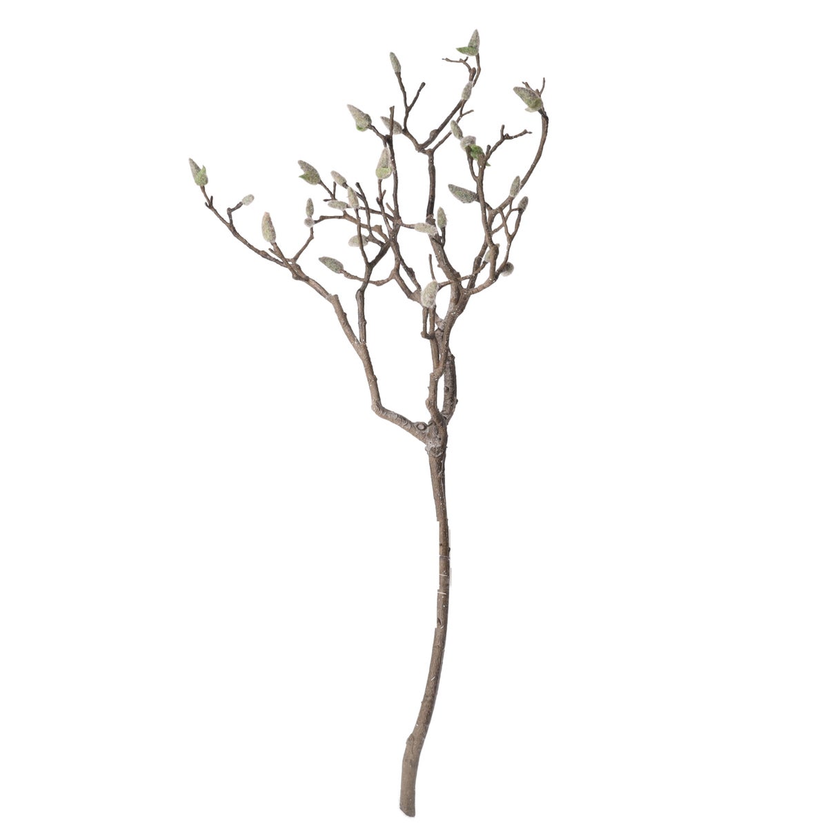 Magnolia tak 93 cm Magnolia tak 93 cm