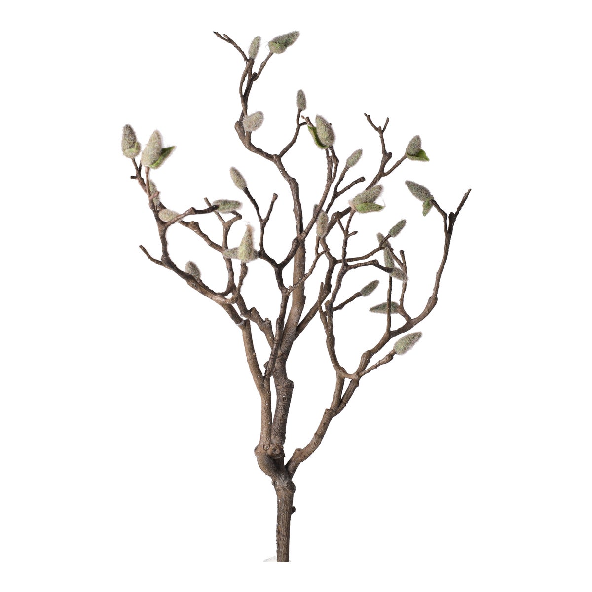 Magnolia tak 93 cm Magnolia tak 93 cm