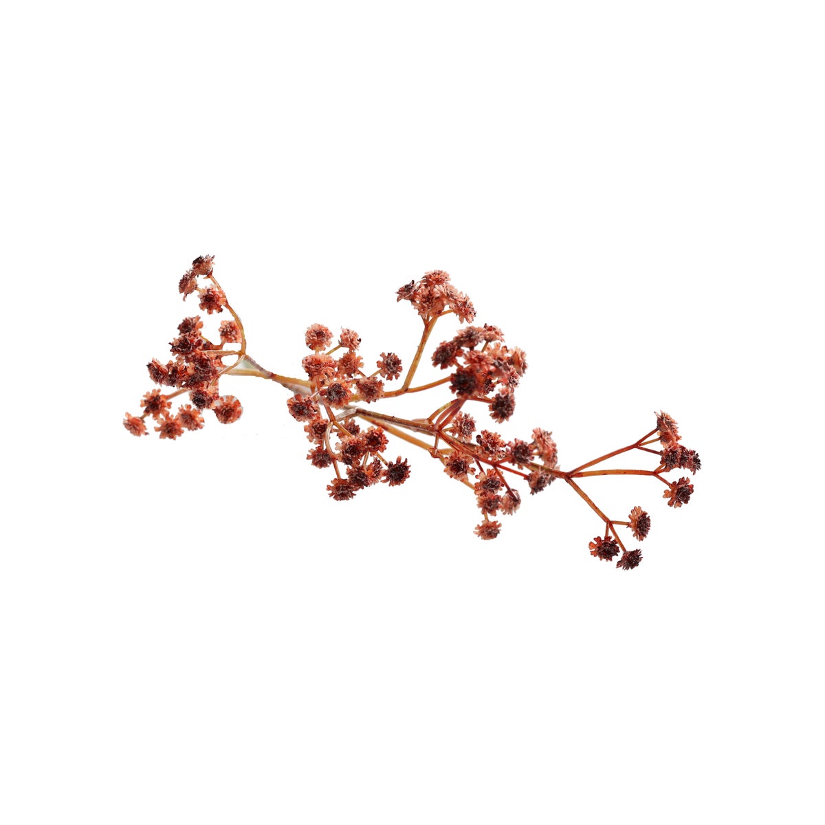 Decoratieve tak bruidssluier 60 cm Decoratieve tak bruidssluier 60 cm
