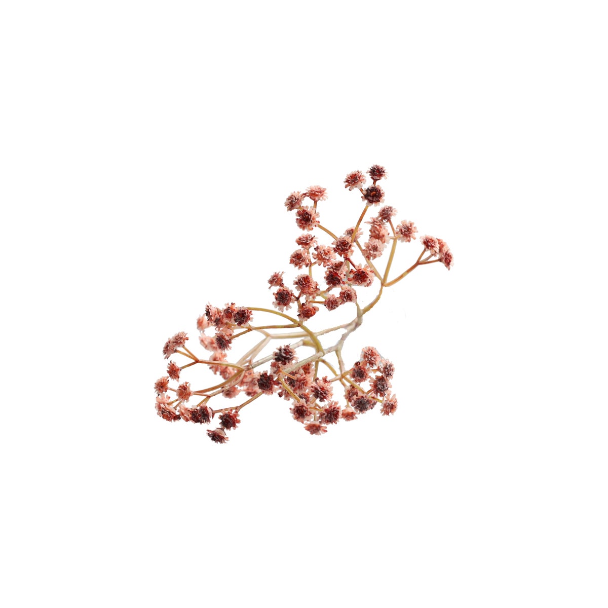Decoratieve tak bruidssluier 60 cm Decoratieve tak bruidssluier 60 cm