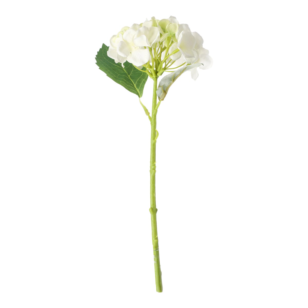 Hortensia 31 cm wit Hortensia 31 cm wit