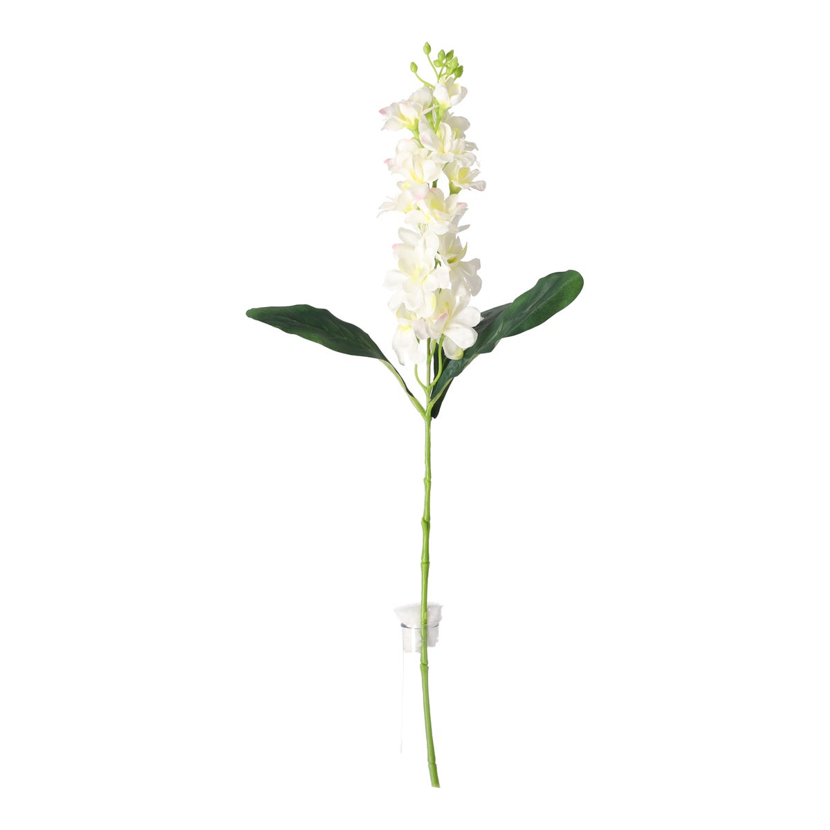 Ridderspoor 51 cm wit Ridderspoor 51 cm wit