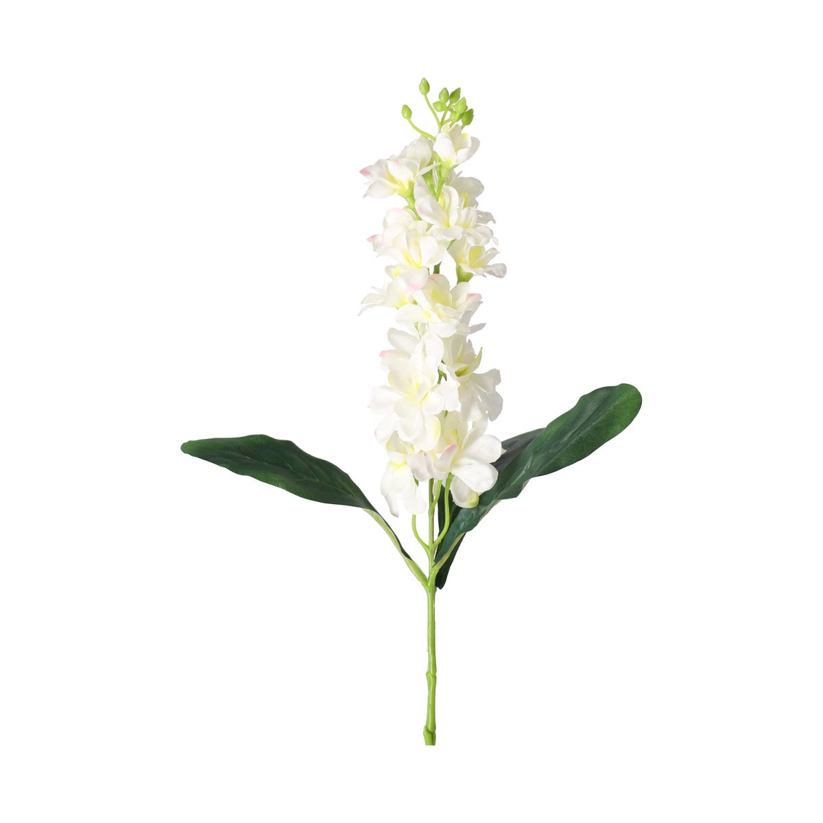 Ridderspoor 51 cm wit Ridderspoor 51 cm wit