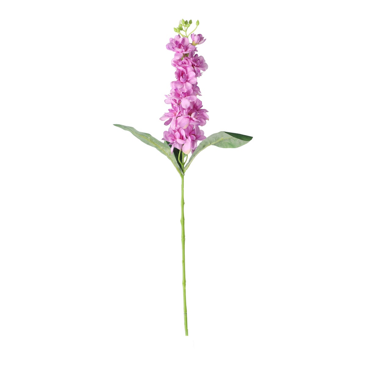 Ridderspoor 51 cm lila Ridderspoor 51 cm lila