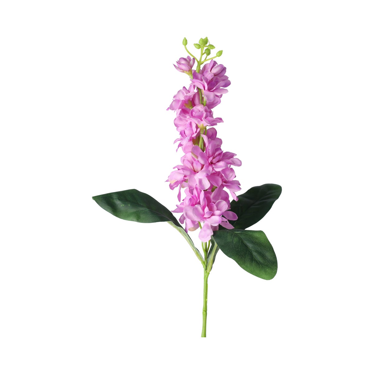 Ridderspoor 51 cm lila Ridderspoor 51 cm lila