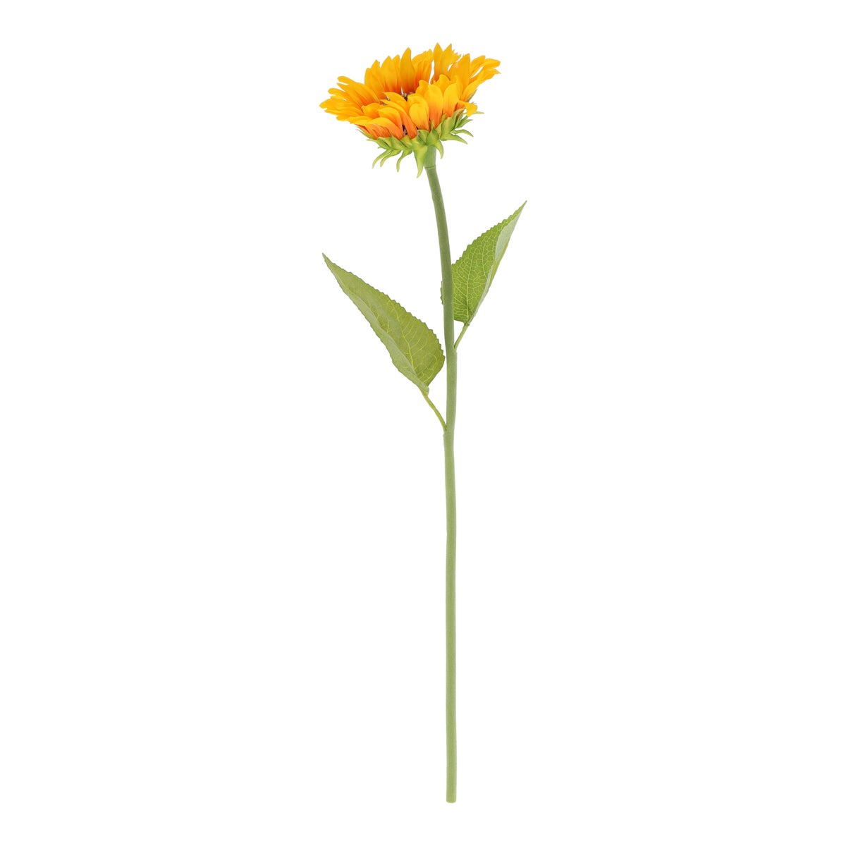 Zonnebloem 57 cm geel Zonnebloem 57 cm geel