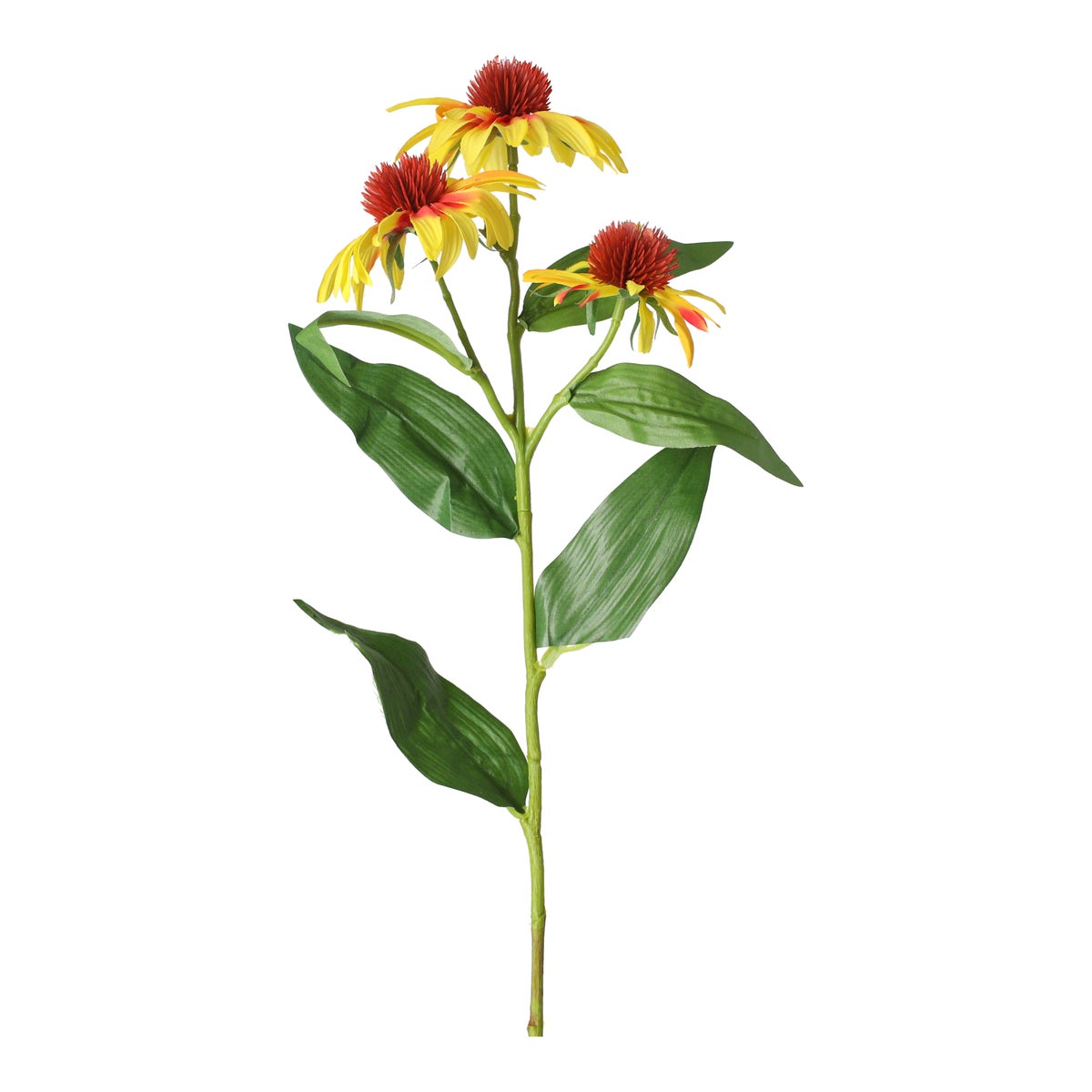 Echinacea geel 62 cm Echinacea geel 62 cm