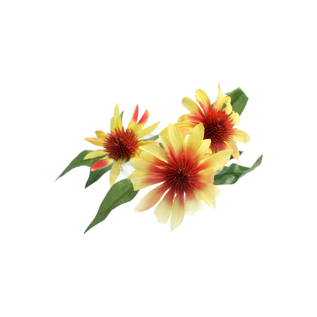 Echinacea geel 62 cm Echinacea geel 62 cm