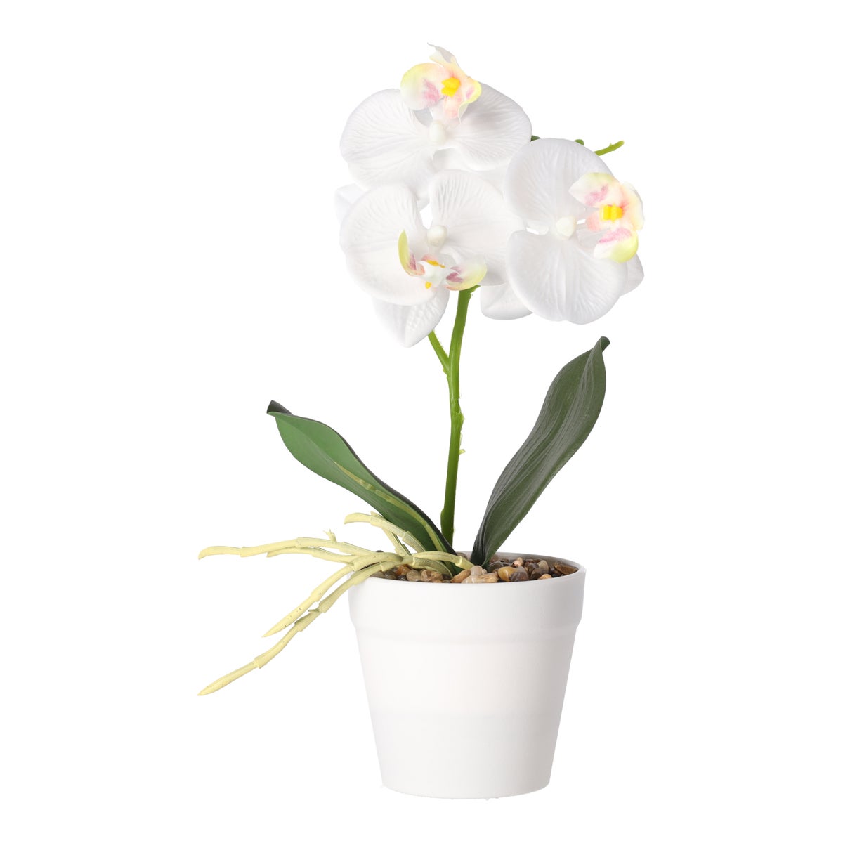 Phalaenopsis in pot wit, roze en perzik, 3 assorti Phalaenopsis in pot wit, roze en perzik, 3 assorti