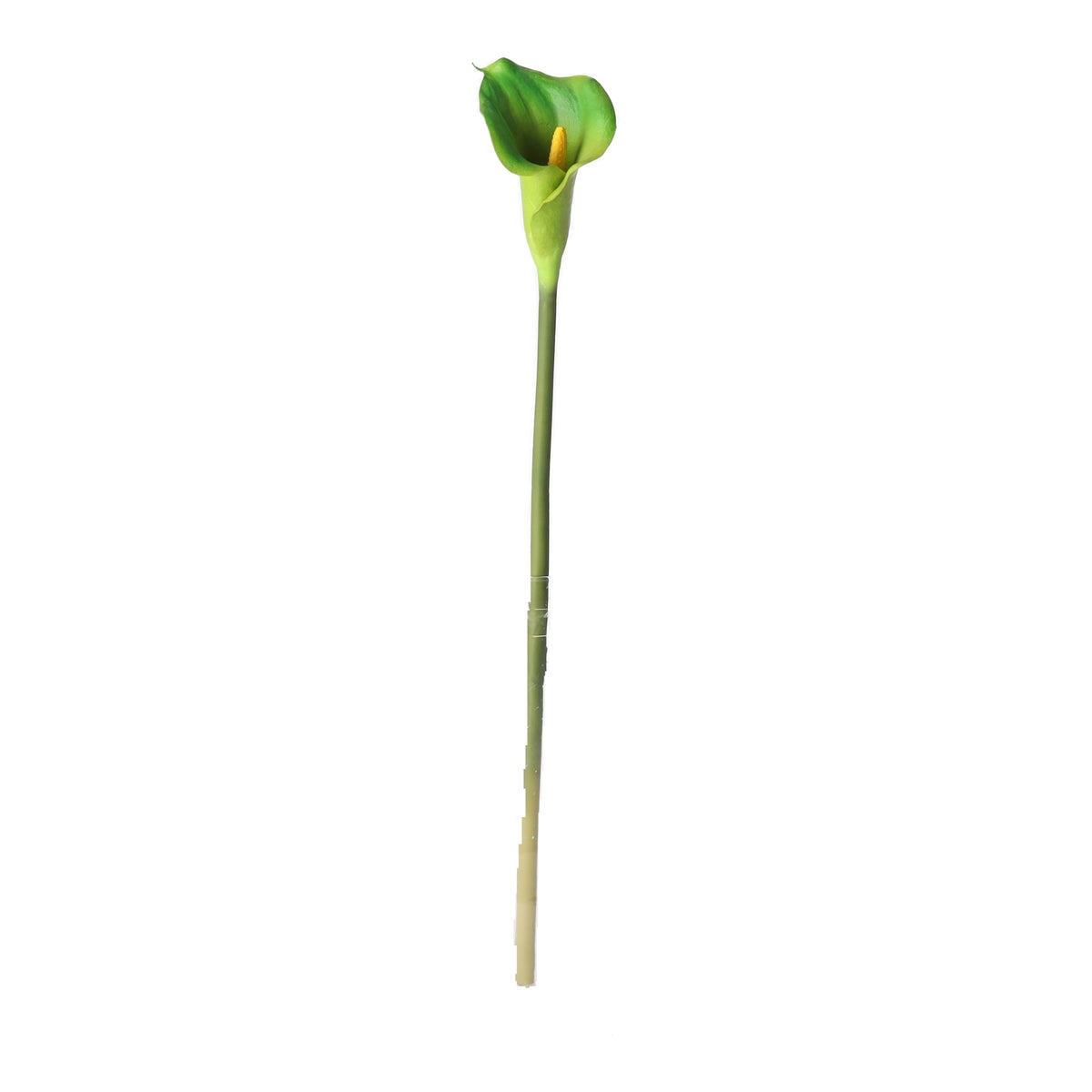 Calla enkel 67 cm groen Calla enkel 67 cm groen