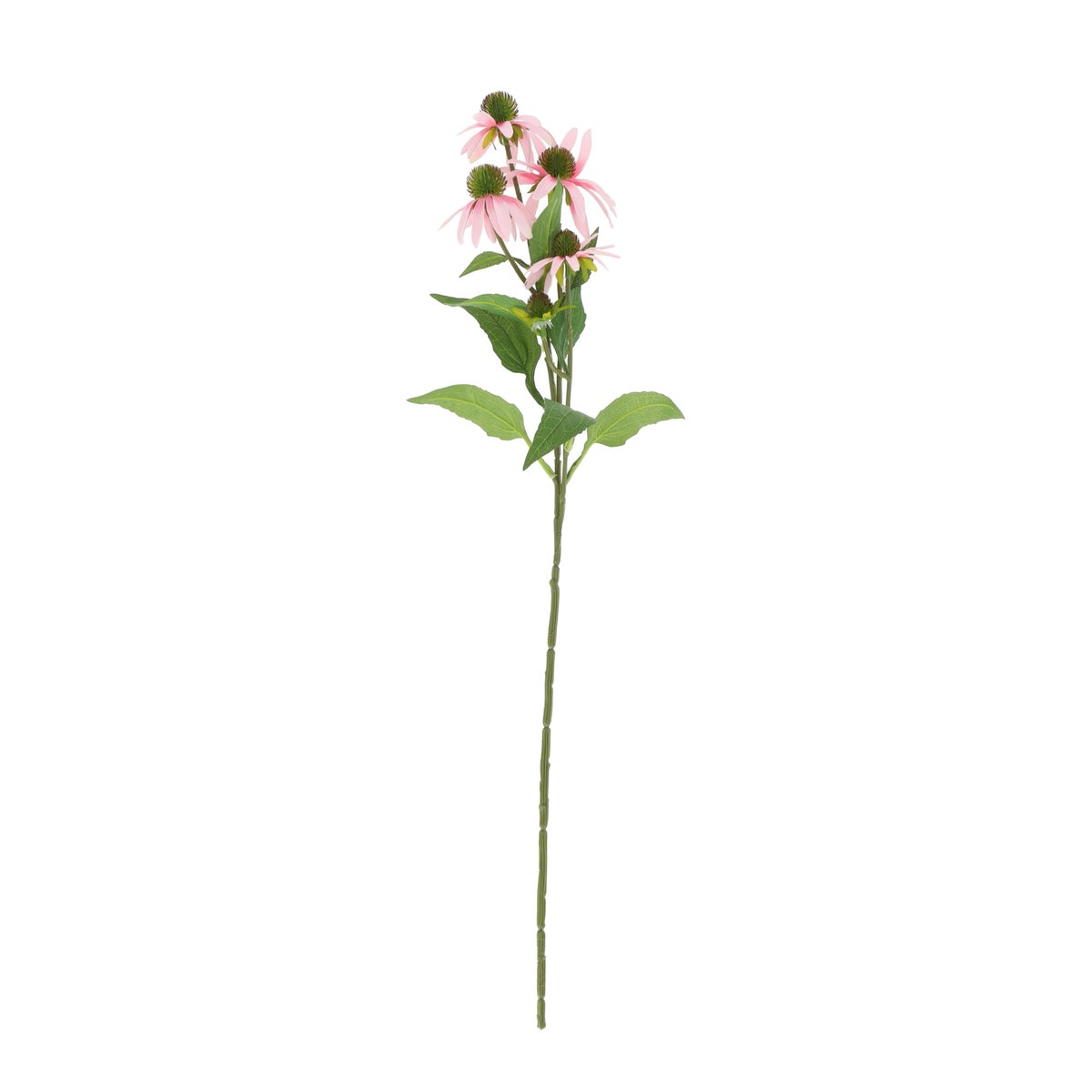 Bloem rudbeckia licht roze 73 cm Bloem rudbeckia licht roze 73 cm