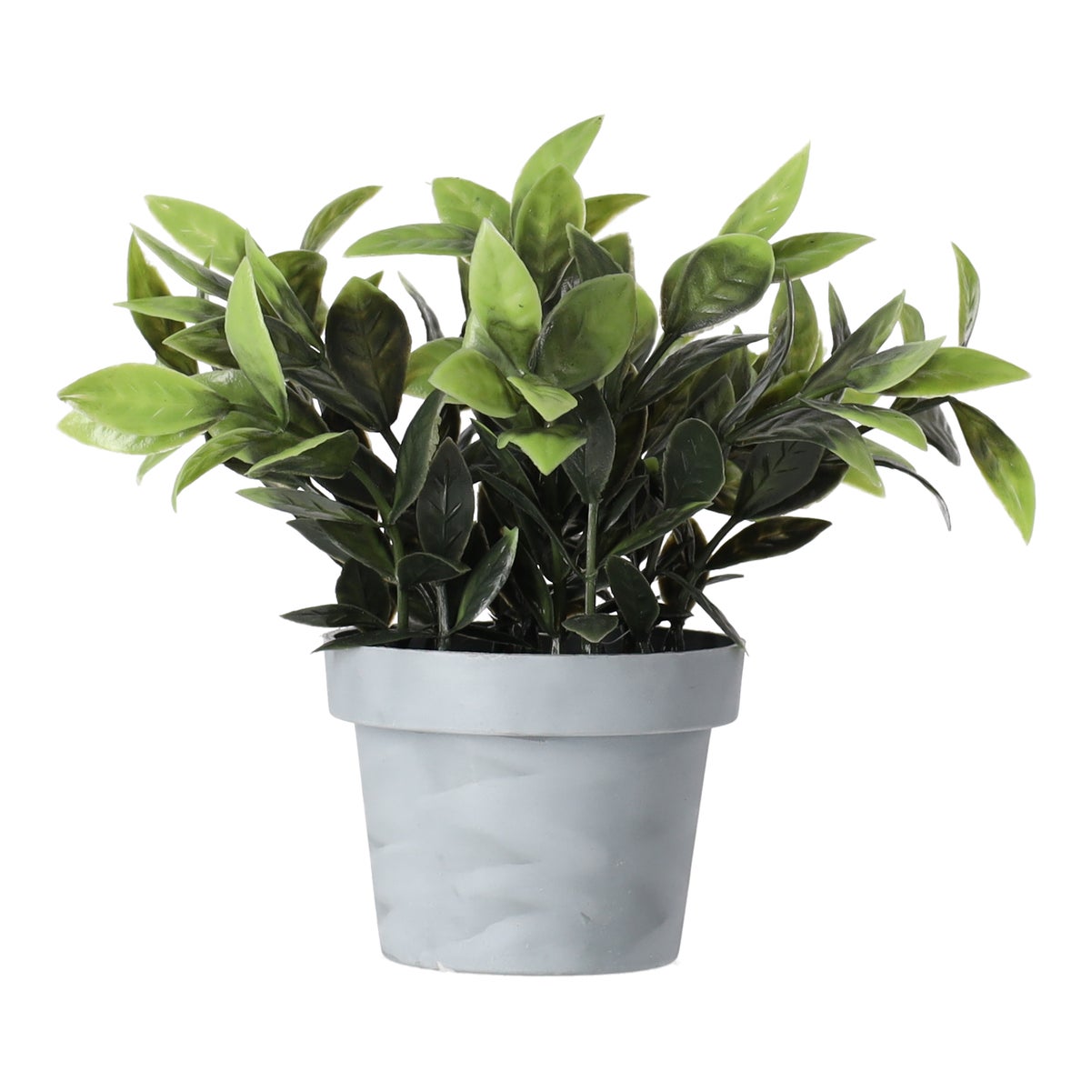 Bloem in pot 28 cm Bloem in pot 28 cm